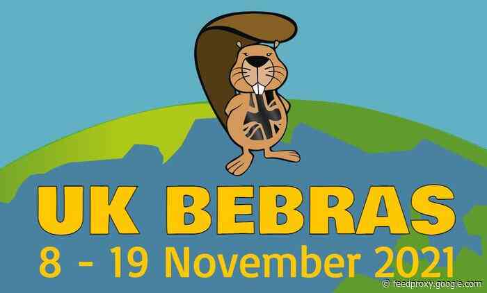 UK Bebras Computational Thinking Challenge for schools launches Nov 8th 2021
