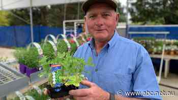 'Will we survive?': Canberrans can shop again as retail stores reopen in the ACT