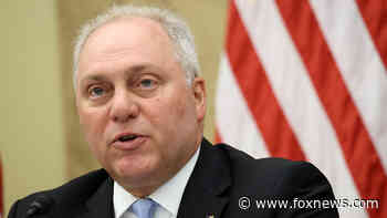 Scalise says GOP memo on closed-door Birx testimony confirms world was 'misled' on COVID