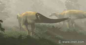 Fossils reveal gentle dinosaur was falsely accused of being a vicious monster     - CNET