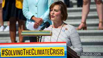 House climate panel chair: 'We just don't have any more time to waste'