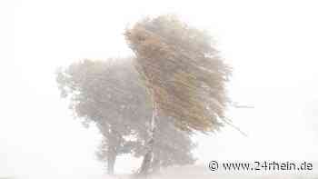 Sturm NRW: Kreuz von Kirchturm in Essen geweht – Frau in Auto von Baum getroffen | Rheinland & NRW - 24RHEIN