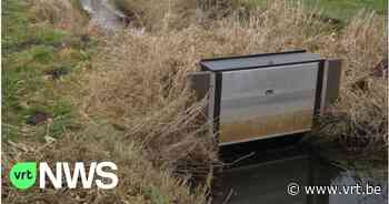 Netwerk van sluizen moet grondwater in Bocholt verhogen: "Op een slimme manier gericht het waterpeil sturen" - VRT NWS