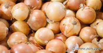 Onions linked to salmonella outbreak in 37 states