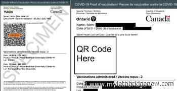 Provinces and territories to start using 'standardized' vaccine certificate - My Lethbridge Now