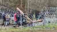 Mit Äxten und Steinen | Migranten stürmen Grenze zu Polen - BILD