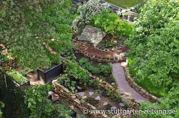 Ein Paradies im Stuttgarter Hinterhof - Mit 40 Tonnen an Steinen durch die Wohnung - Stuttgarter Zeitung