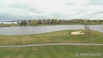 Calgary golf courses see record numbers, city official says