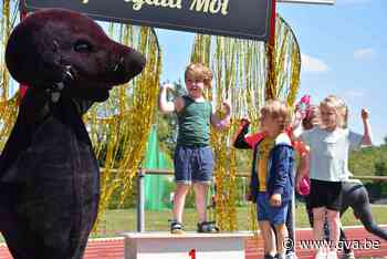 Kampioenen en sportlaureaten gezocht voor huldigingen (Mol) - Gazet van Antwerpen Mobile - Gazet van Antwerpen