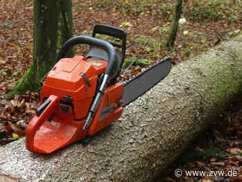 Streit über Gartenhütte und Bäume: Machen Stücklebesitzer in Kernen, was sie wollen? - Zeitungsverlag Waiblingen