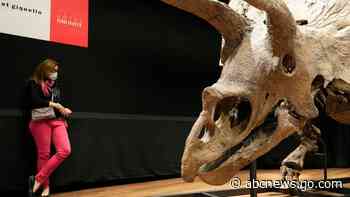 World's biggest triceratops sells for $7.7 million in Paris