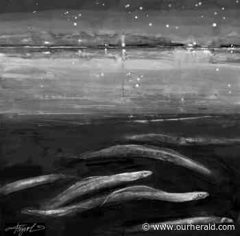 American Eels on the Move in Fall | The White River Valley Herald - ourherald.com