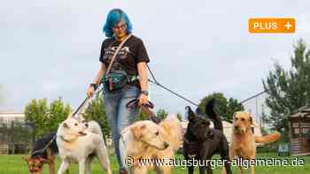 Eine junge Aichacherin ist professionelle Gassi-Geherin - Augsburger Allgemeine