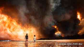 Australia's leaked coal comments show 'secret world of what governments really think about the climate emergency'
