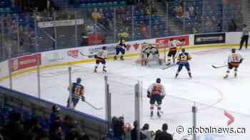 Saskatoon Blades rookies taking turns celebrating career firsts
