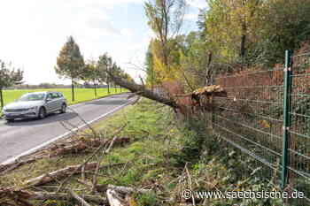 Sturmtief "Ignatz": Alle Infos für Meißen, Riesa und Umgebung - Sächsische.de