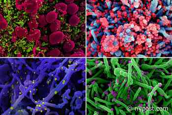 Can new variants of the coronavirus keep emerging? - New York Post