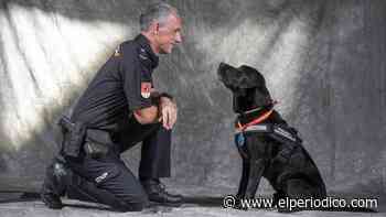 Lennon y Sánchez, los medallistas de la Unidad Canina - El Periódico