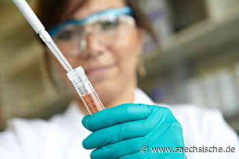 Dresden: Der Coup mit den Killerzellen gegen Krebs - Sächsische.de