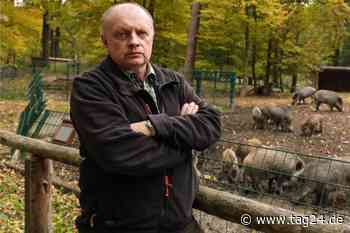 Dresden: Todesurteil für Wildschweine gefällt - Nur ein Fünkchen Hoffnung bleibt noch - TAG24