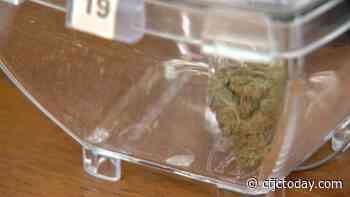 Kamloops Mayor wants fair share of cannabis revenue, as consumers continue to embrace legal weed - CFJC Today Kamloops