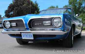 Habitat for Humanity Kamloops to build 150 homes in three years - Think Local - Castanet.net