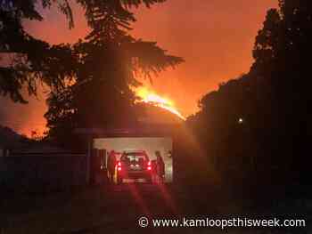 After historic wildfire year, City of Kamloops tackles mitigation work - Kamloops This Week