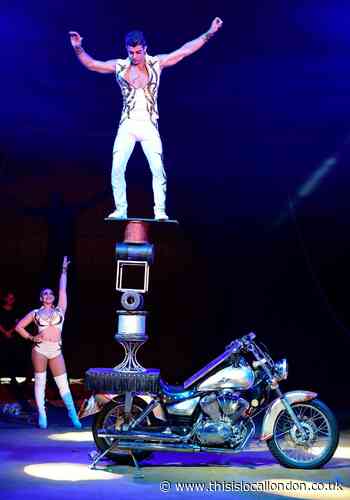 Daredevil to perform motorbike stunt in Greenwich Park