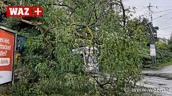 Sturm in Witten: Ast kracht auf Oberleitung von Straßenbahn - Westdeutsche Allgemeine Zeitung
