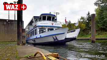 Kurze Saison: Schwalbe in Witten geht in den Winterschlaf - Westdeutsche Allgemeine Zeitung