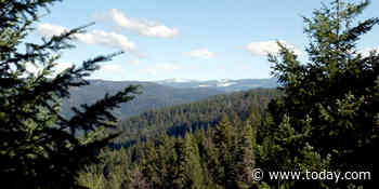 Family died from heat and dehydration on Sierra National Forest hike, officials say