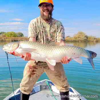Man reels in record-setting carp on Snake River - Idaho State Journal