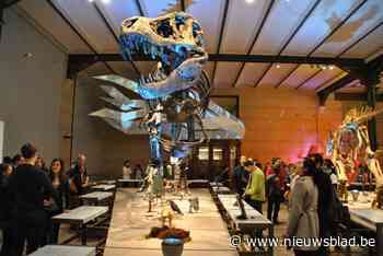 Na twee keer uitstel vorig jaar gaat 14de editie van Museum Night Fever nu toch door