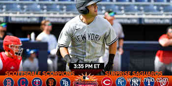 Yankees' Wells catching fire in AFL - MLB.com