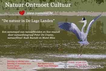 Filmvoorstelling met livemuziek voor moedige Wout (9) en zijn medepatiëntjes