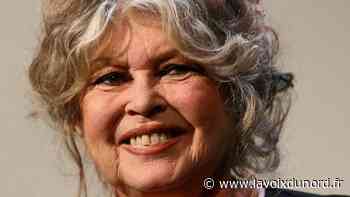 Tribunal d'Arras : 10 000 € requis contre Brigitte Bardot pour injures publiques - La Voix du Nord