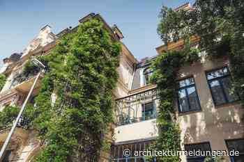 Troggebundene Fassadenbegrünung