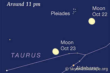 This Week's Sky at a Glance, October 22 – 30