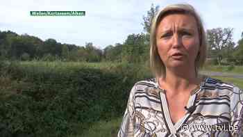 Burgemeester Alken wil stuk van Wellen: "Degoutant. Koehandel," reageert burgemeester Robeyns - TV Limburg