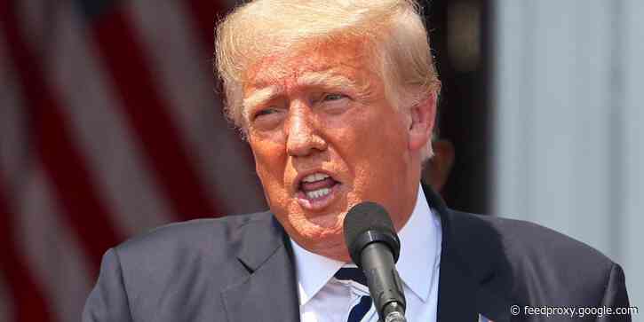 Hackers broke into Donald Trump's upcoming social media site, creating fake accounts for Trump and Steve Bannon and posting a photo of a defecating pig