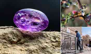 Stunning 2,000-year-old lilac amethyst stone discovered in Jerusalem