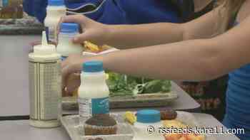 Report sheds light on troubling scope of food allergy bullying