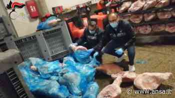 Modena, sequestrate 20 tonnellate di prosciutti congelati in cattivo stato di conservazione - Italia - Agenzia ANSA