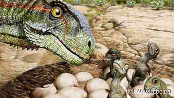 Scientists find oldest fossils of dinosaurs living in a herd