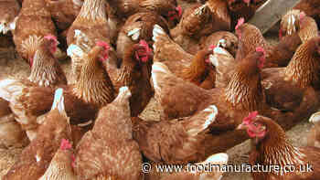 Banham Poultry acquired by ‘chicken king’ Boparan