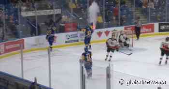 Saskatoon Blades rookies taking turns celebrating career firsts - Globalnews.ca