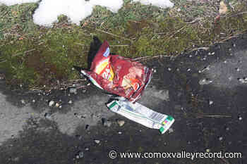 Comox Strathcona waste board wants province to pick up trash at beaches – Comox Valley Record - Comox Valley Record