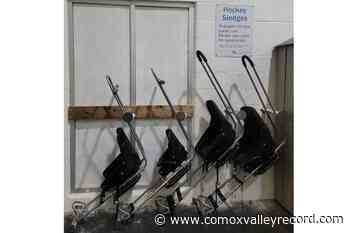 Comox Valley Regional District ice activities made more accessible - Comox Valley Record