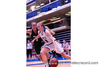 Comox Valley basketball product in sixth season at UVic – Comox Valley Record - Comox Valley Record