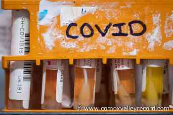 B.C. reports 696 new COVID cases, 6 deaths on Wednesday - Comox Valley Record
